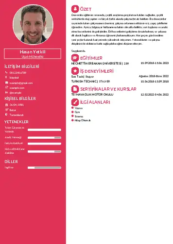 Havacılık Ve Uzay Uçak Mühendisi Cv Örnekleri cv indir